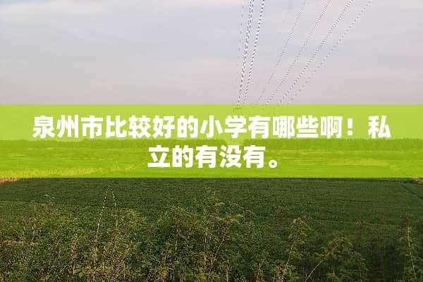 泉州市比较好的小学有哪些啊！私立的有没有。