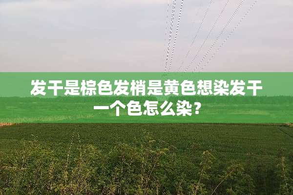 发干是棕色发梢是黄色想染发干一个色怎么染？
