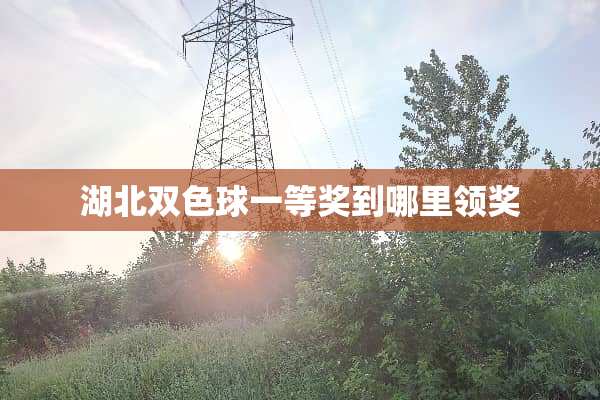 湖北双色球一等奖到哪里领奖