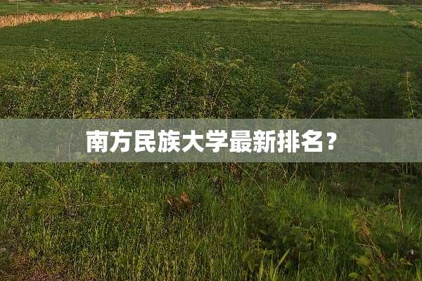 南方民族大学最新排名？