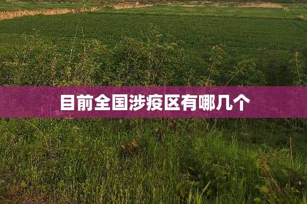 目前全国涉疫区有哪几个
