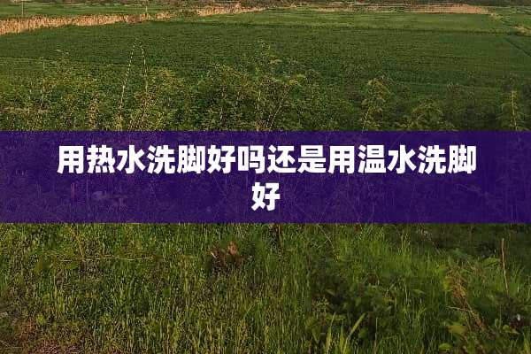 用热水洗脚好吗还是用温水洗脚好
