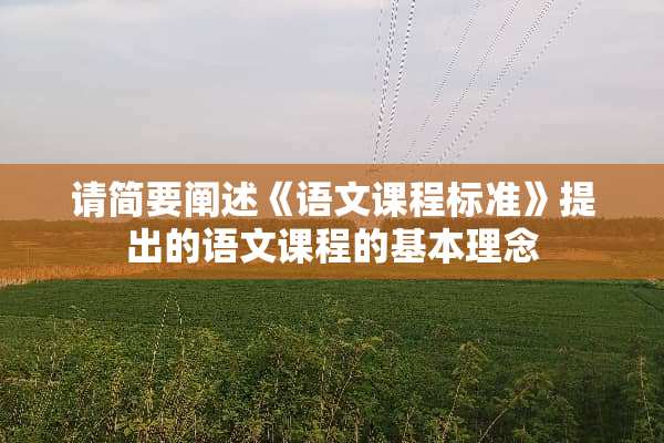 请简要阐述《语文课程标准》提出的语文课程的基本理念