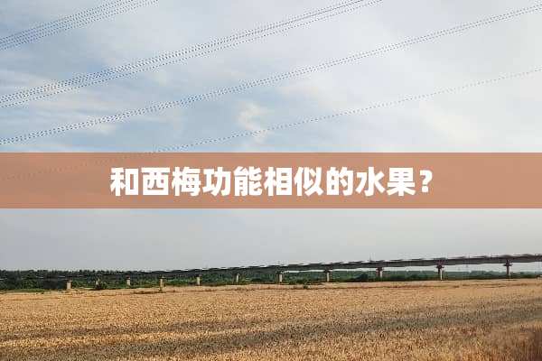 和西梅功能相似的水果？