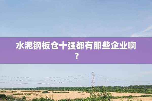 水泥钢板仓十强都有那些企业啊？