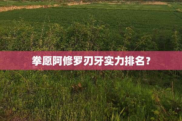 拳愿阿修罗刃牙实力排名？