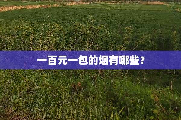 一百元一包的烟有哪些？