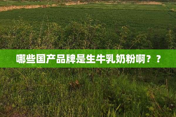 哪些国产品牌是生牛*奶粉啊？？