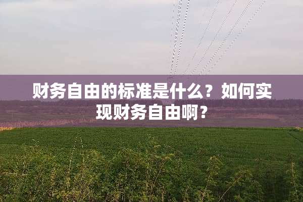 财务自由的标准是什么？如何实现财务自由啊？