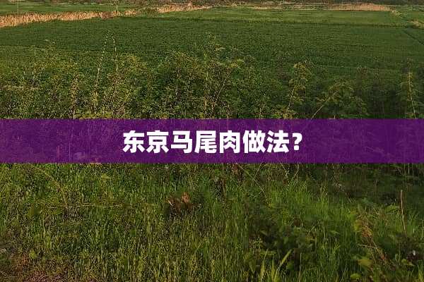 东京马尾肉做法？