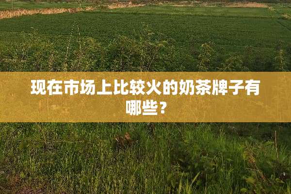 现在市场上比较火的奶茶牌子有哪些？