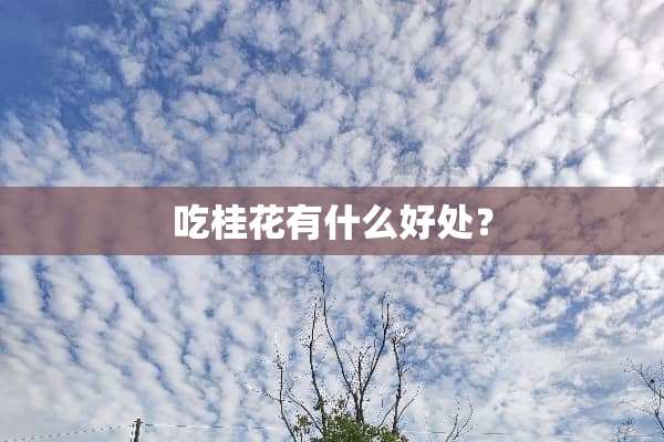 吃桂花有什么好处？
