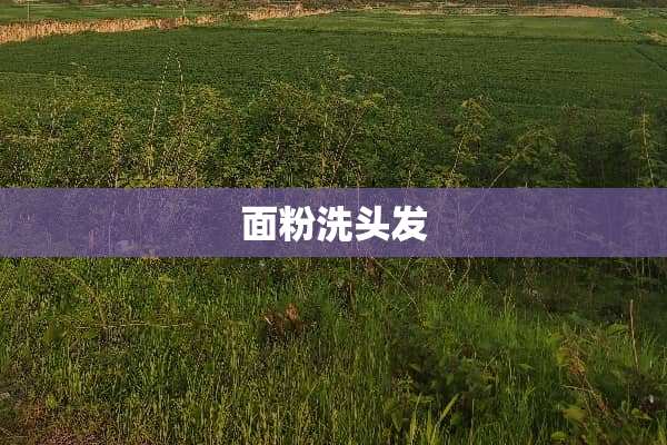 面粉洗头发