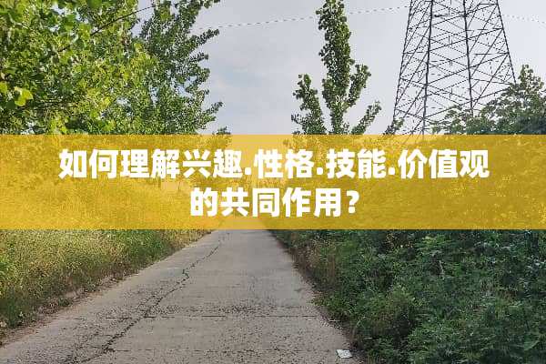 如何理解兴趣.性格.技能.价值观的共同作用？