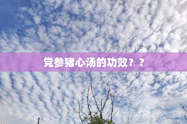 *参猪心汤的功效？？