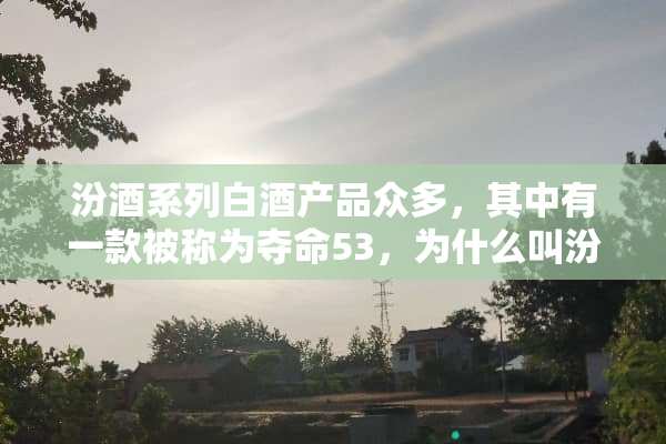 汾酒系列白酒产品众多，其中有一款被称为夺命53，为什么叫汾酒夺命53？