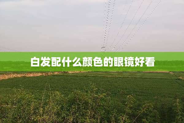 白发配什么颜色的眼镜好看