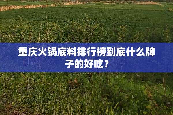 重庆火锅底料排行榜到底什么牌子的好吃？