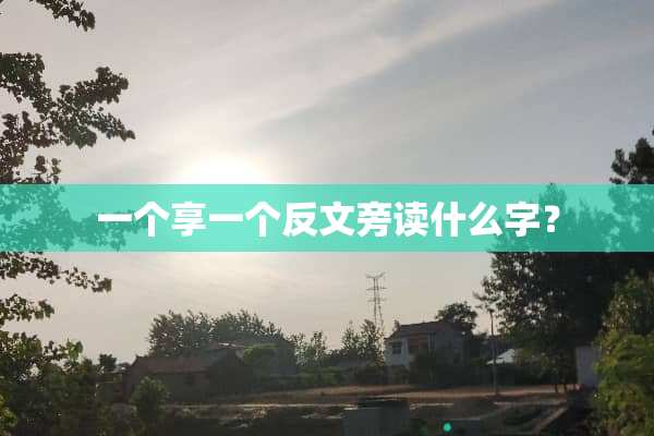 一个享一个反文旁读什么字？