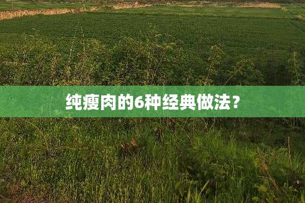 纯瘦肉的6种经典做法？