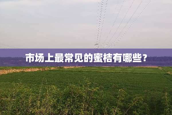 市场上最常见的蜜桔有哪些？
