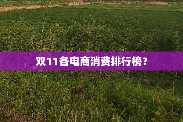 双11各电商消费排行榜？