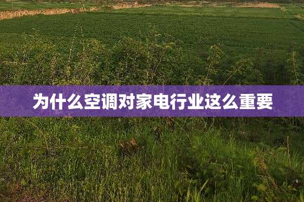 为什么空调对家电行业这么重要