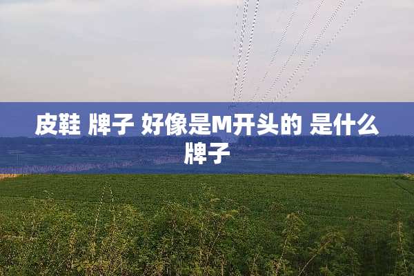 皮鞋 牌子 好像是M开头的 是什么牌子
