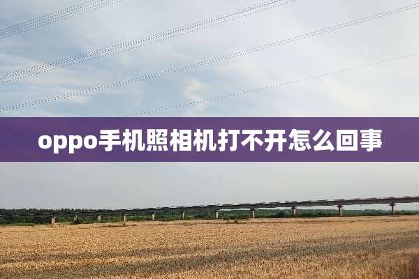 oppo手机照相机打不开怎么回事