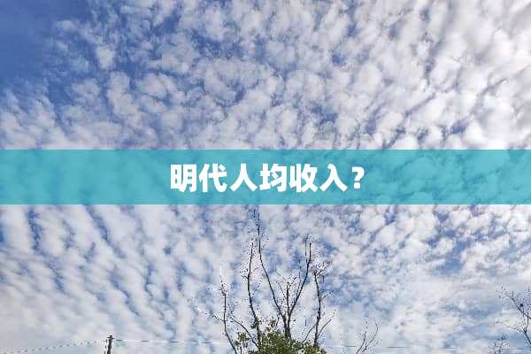 明代人均收入？