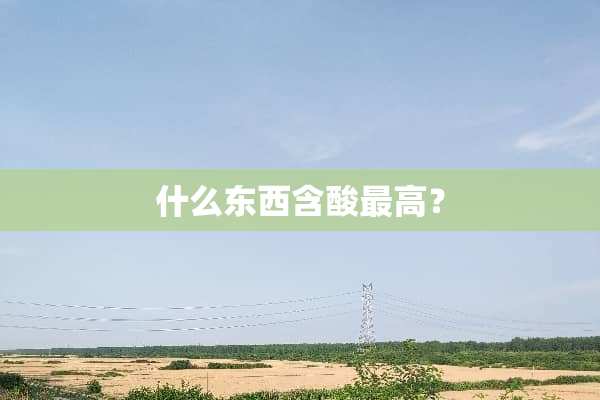 什么东西含酸最高？