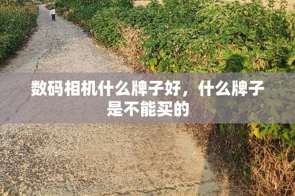 数码相机什么牌子好，什么牌子是不能买的
