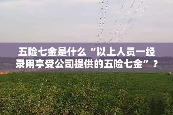 五险七金是什么“以上人员一经录用享受公司提供的五险七金”？