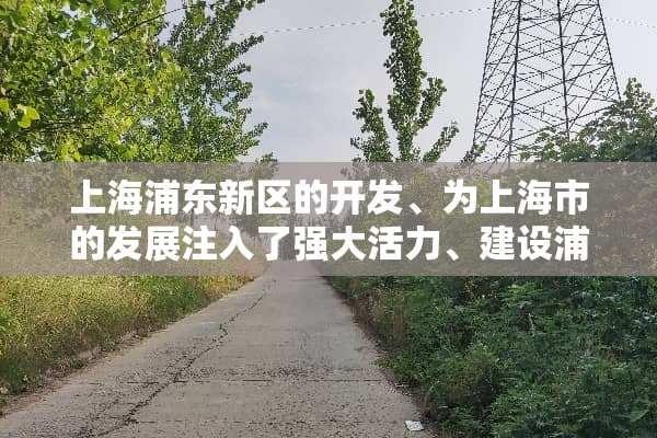 上海浦东新区的开发、为上海市的发展注入了强大活力、建设浦东新区是因为