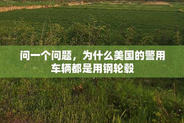 问一个问题，为什么美国的警用车辆都是用钢轮毂