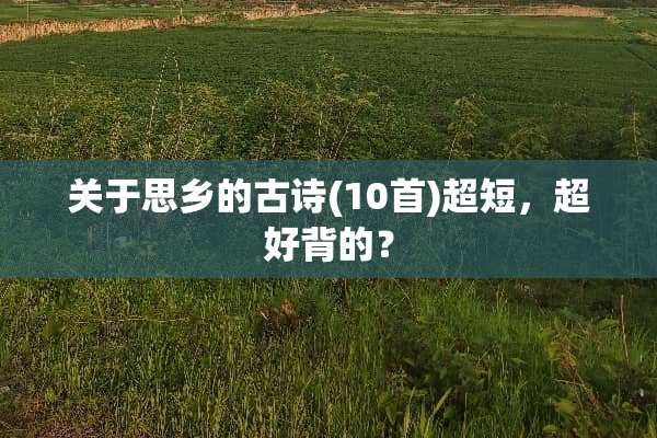 关于思乡的古诗(10首)超短，超好背的？