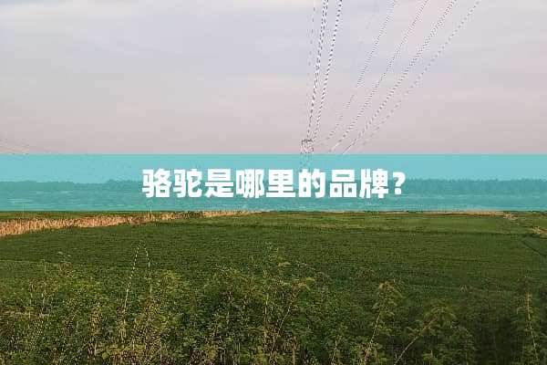 骆驼是哪里的品牌？