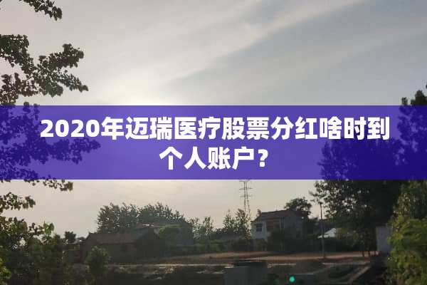 2020年迈瑞医疗股票分红啥时到个人账户？