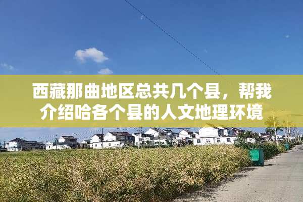 西藏那曲地区总共几个县，帮我介绍哈各个县的人文地理环境