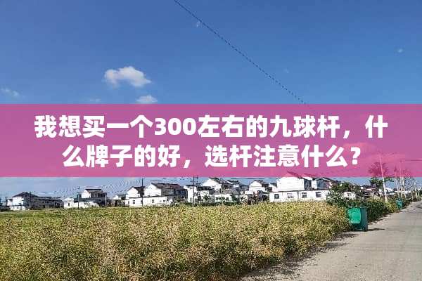 我想买一个300左右的九球杆，什么牌子的好，选杆注意什么？