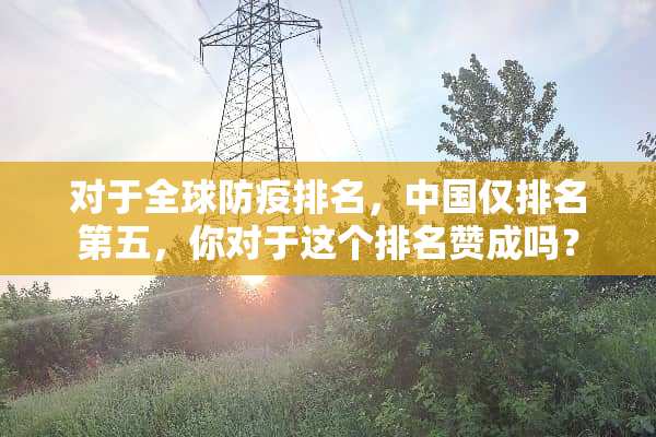 对于全球防疫排名，中国仅排名第五，你对于这个排名赞成吗？