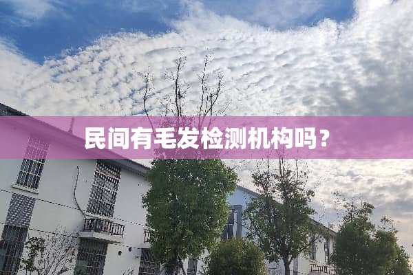 民间有毛发检测机构吗？