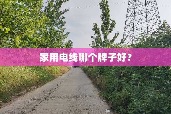 家用电线哪个牌子好？