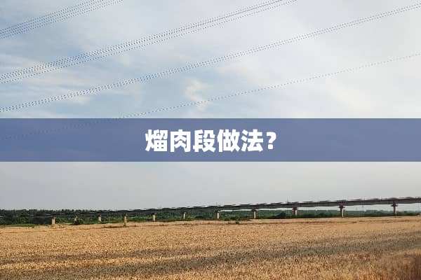 熘肉段做法？