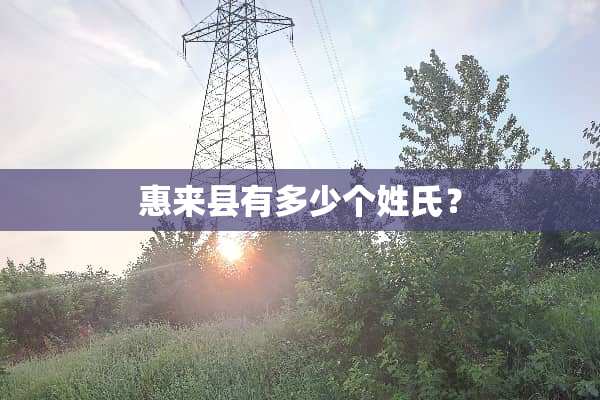 惠来县有多少个姓氏？