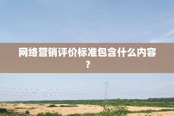 网络营销评价标准包含什么内容？