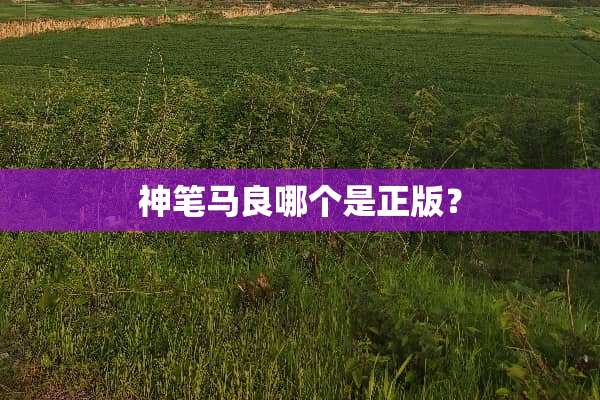 神笔马良哪个是正版？