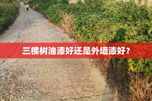 三棵树油漆好还是外墙漆好？
