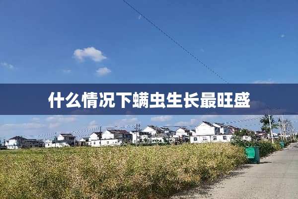 什么情况下螨虫生长最旺盛