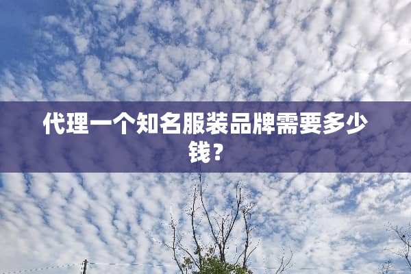 代理一个知名服装品牌需要多少钱？